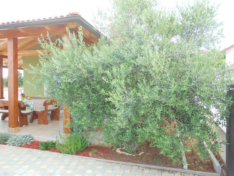 Holiday Home Tanja Пула Номер фото